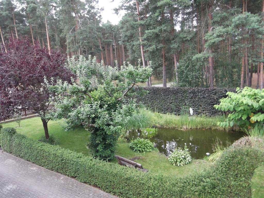 Amselgarten Lubben Luaran gambar