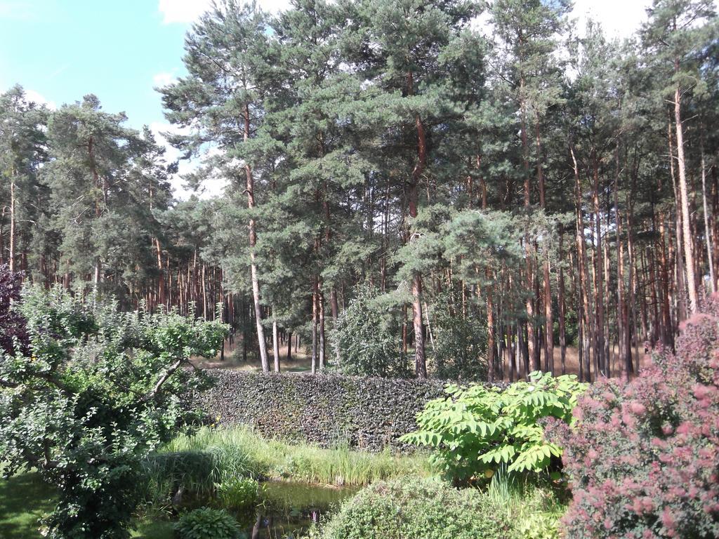 Amselgarten Lubben Luaran gambar