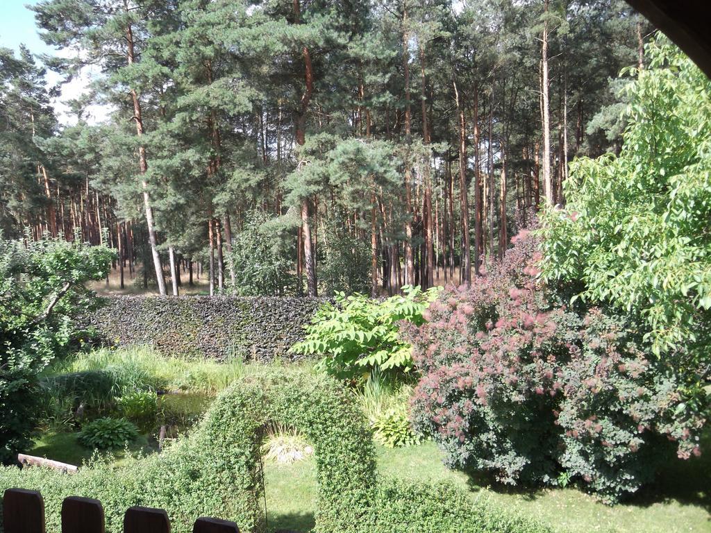 Amselgarten Lubben Luaran gambar