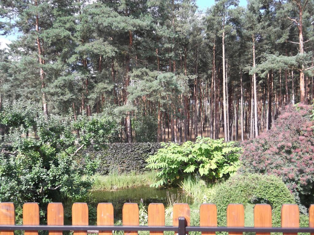Amselgarten Lubben Luaran gambar